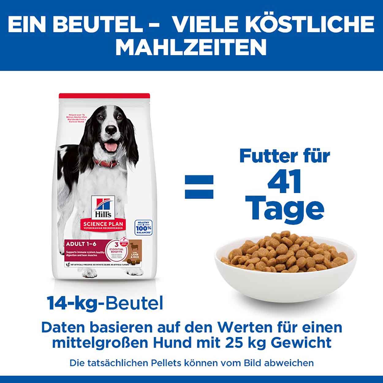 Hills Science Plan Hund Medium Adult Lamm & Reis 14kg Hills Science Plan Hund Medium Adult Lamm & Reis 14kg