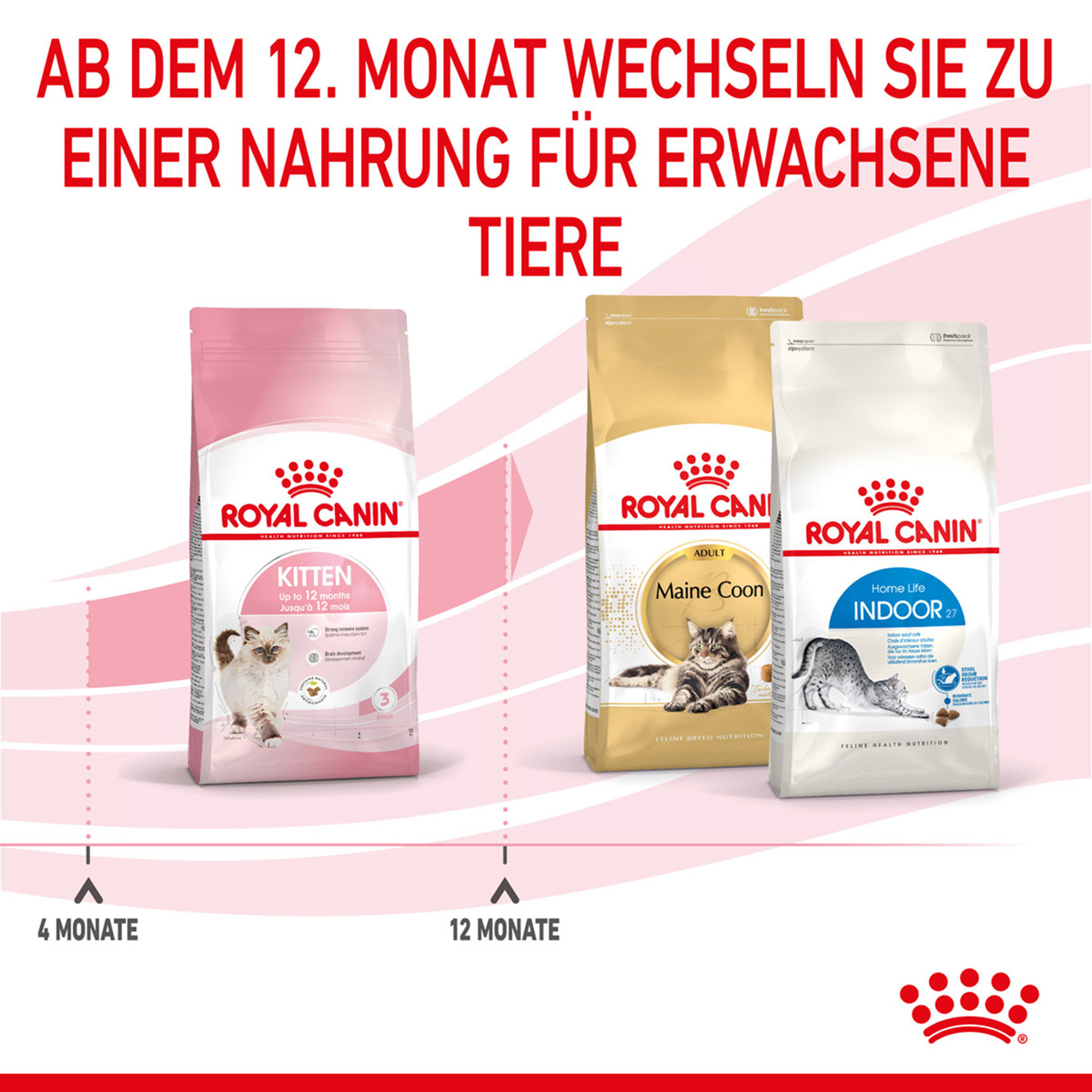 Royal Canin Katze Kitten 0,4 kg