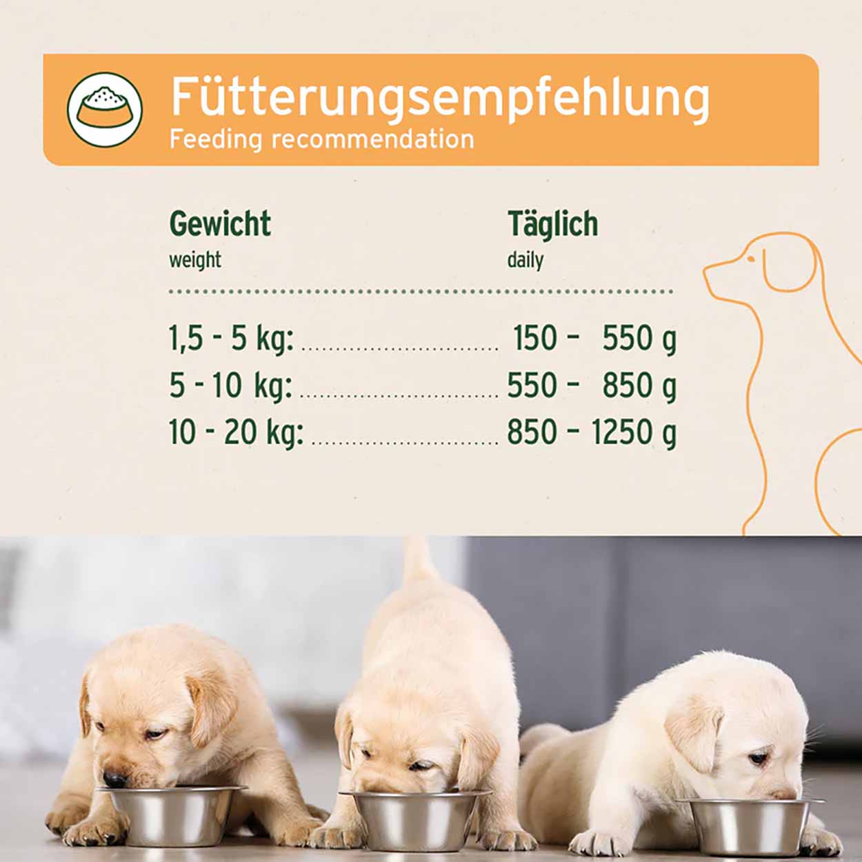 AniForte Nassfutter Junior Menue Huhn 6x400g