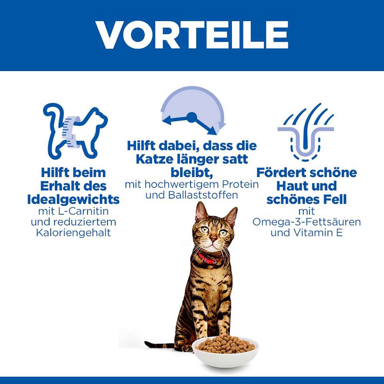 Hills Science Plan Katze Light Adult Huhn 10kg