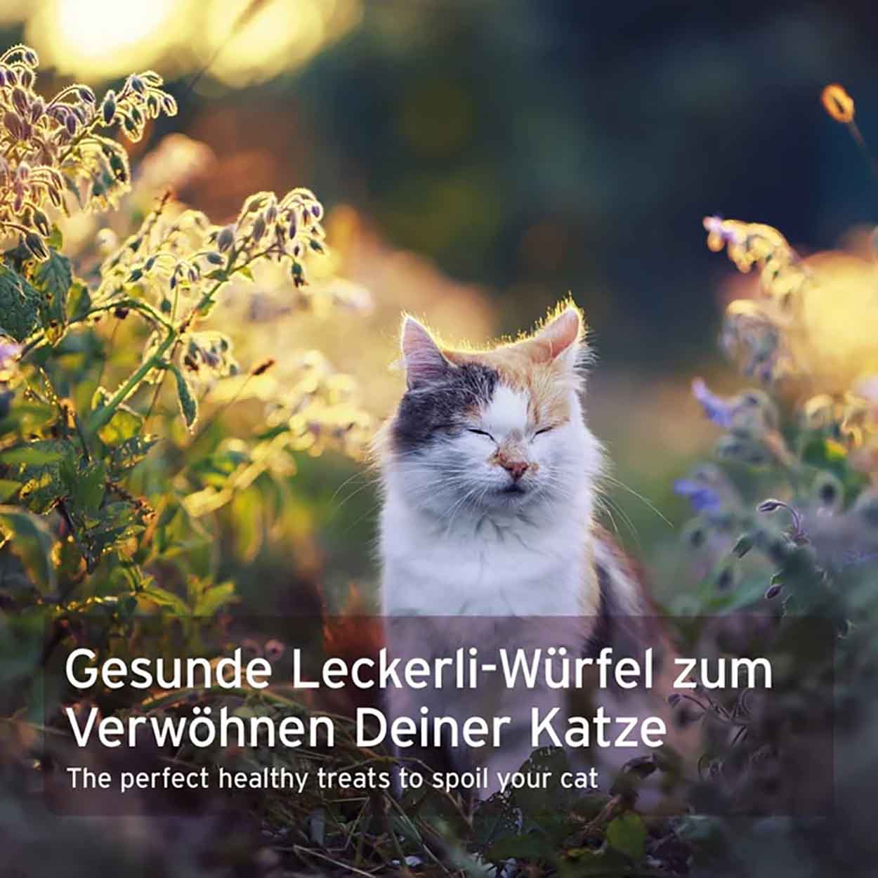 AniForte Soft Snack Ente 100g