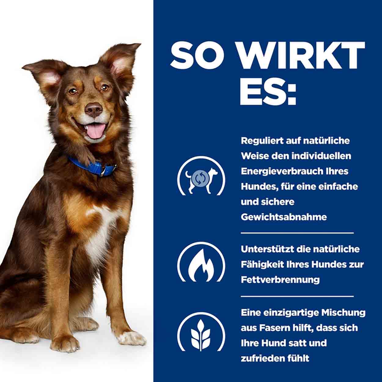 Hills Canine Metabolic Ragout Rind Gemüse 12x354g