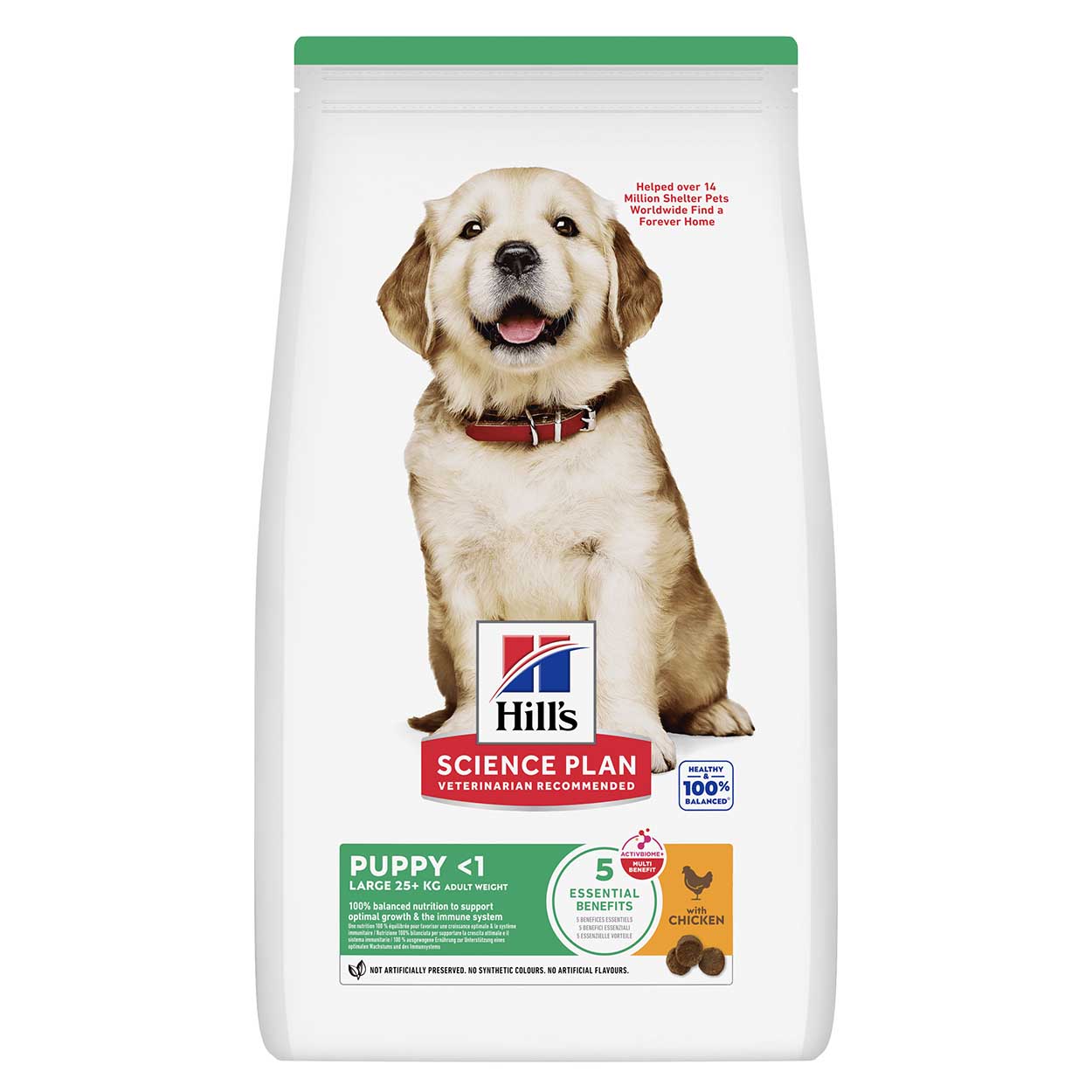 Hills Science Plan Hund Large Breed Puppy Huhn 6kg