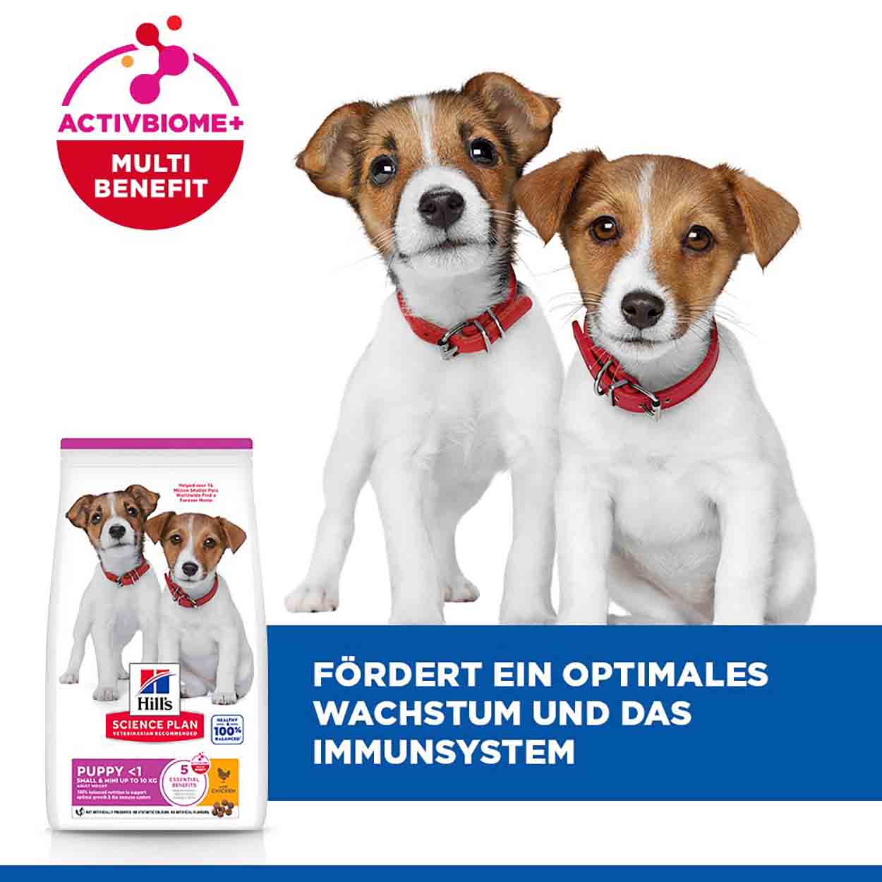 Hills Science Plan Hund Small & Mini Puppy Huhn 3kg 
