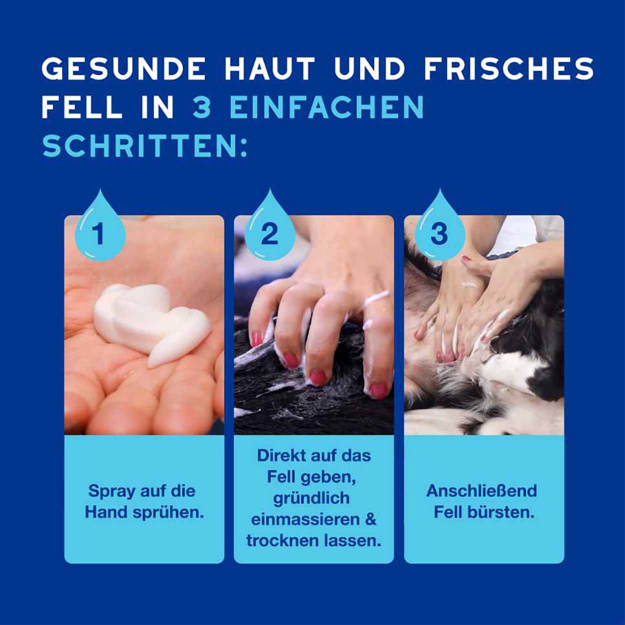 DOUXO SPA Mousse ohne Ausspülen für Hunde 150ml DOUXO SPA Mousse ohne Ausspülen für Hunde 150ml
