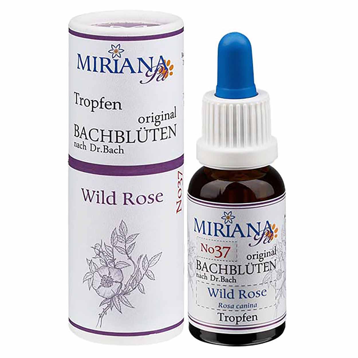 Bachblüten 37 Wild Rose 20ml