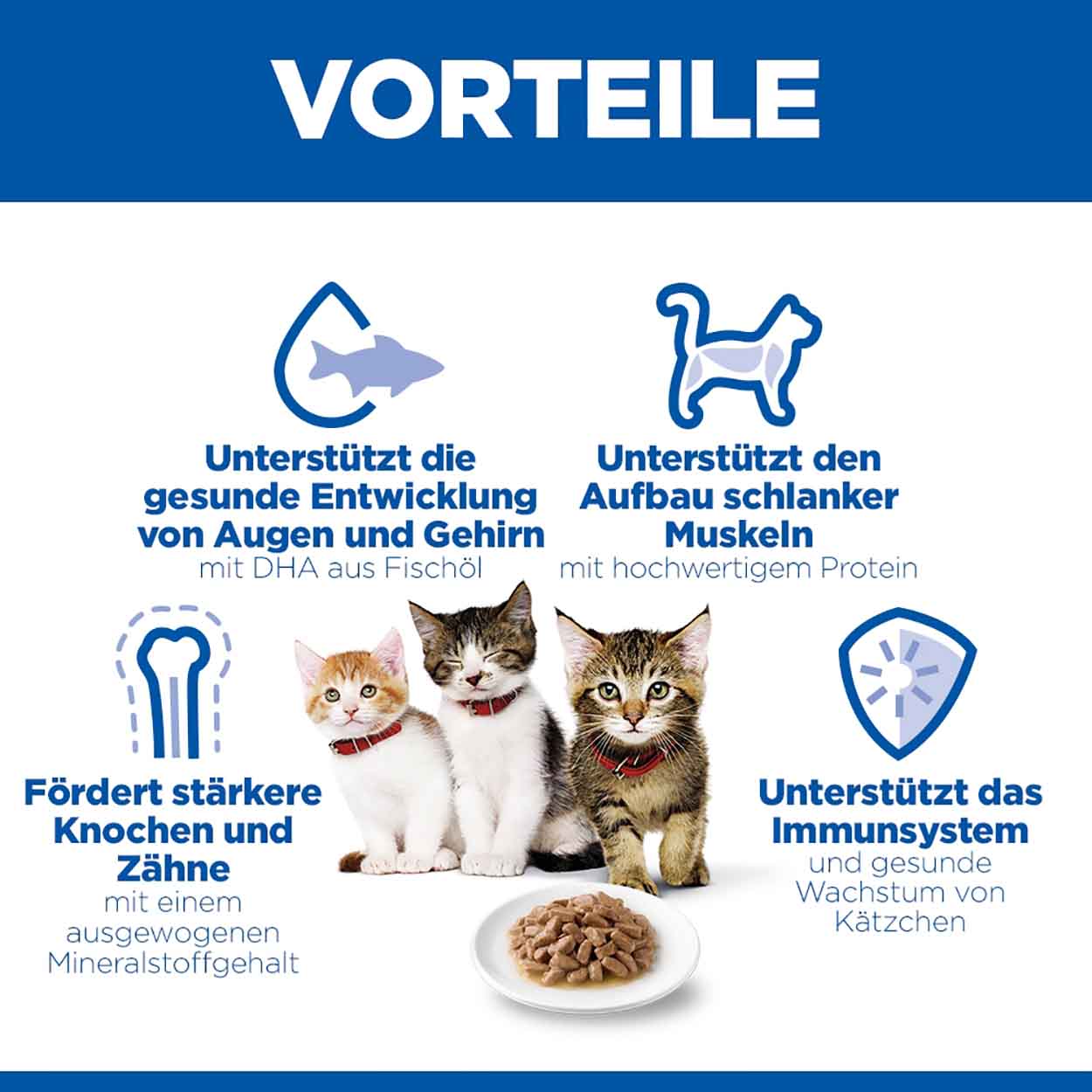Hills Science Plan Katze Kitten Huhn 12x85g