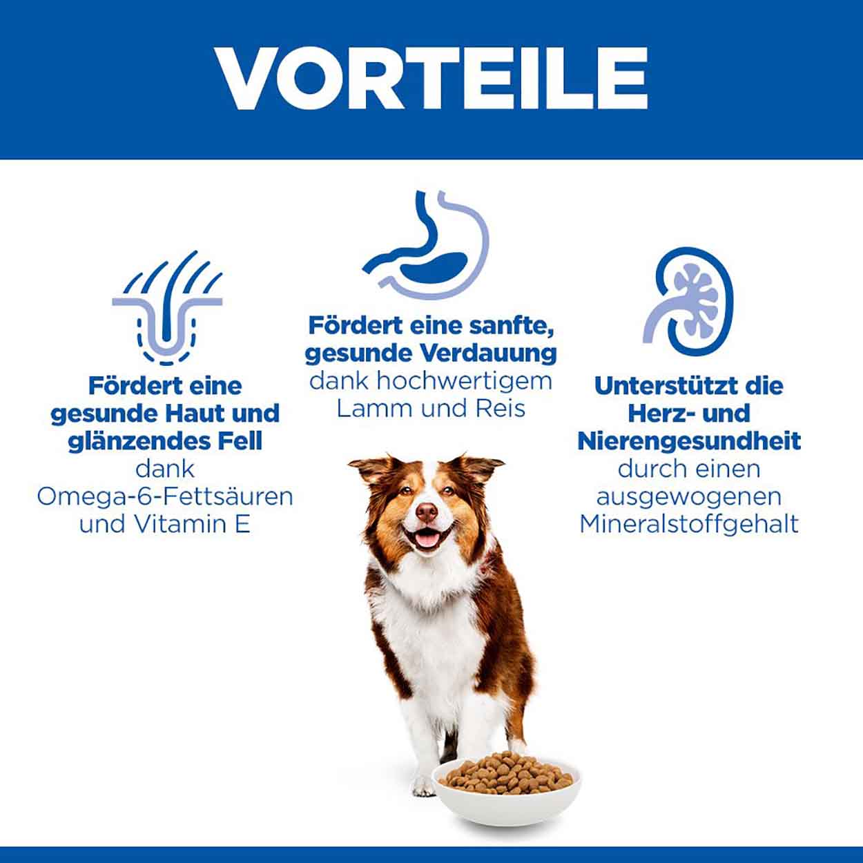 Hills Science Plan Hund Medium Mature Adult 7+ Lamm 14kg