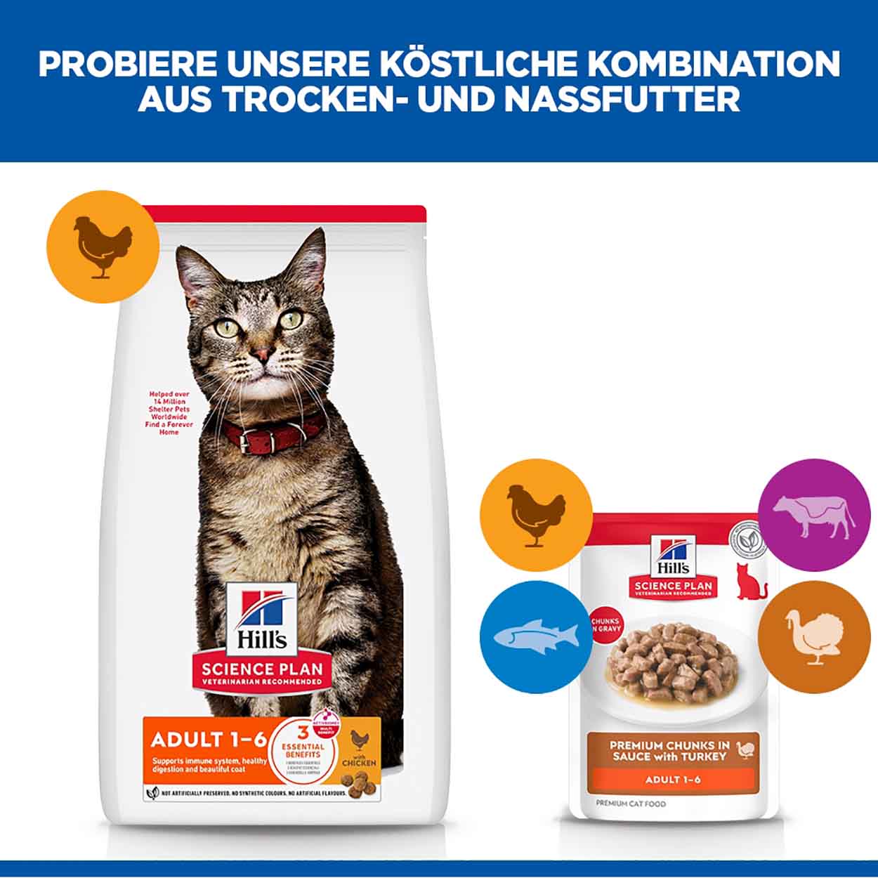Hills Science Plan Katze Adult Truthahn 12x85g 