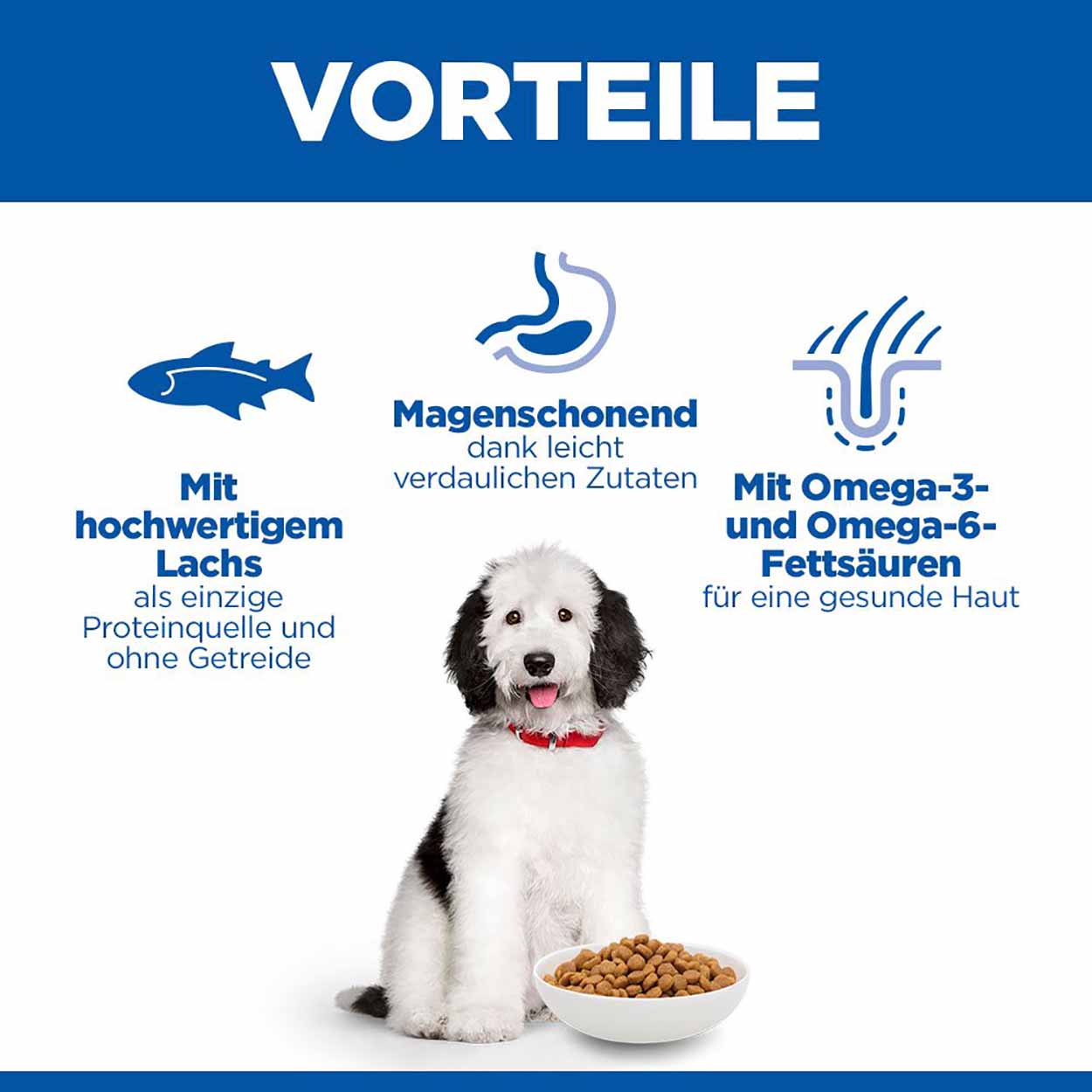 Hills Science Plan Hund Hypoallergenic Large Breed Adult Lachs 14kg