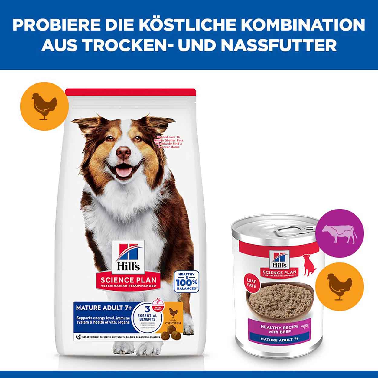 Hills Science Plan Hund Mature Adult Rind 12x370g