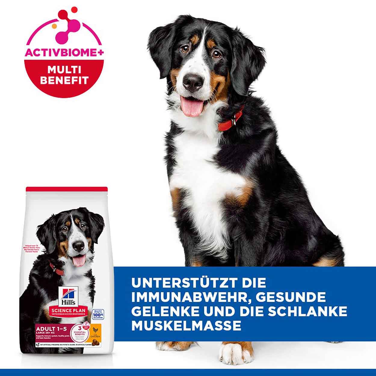 Hills Science Plan Hund  Large Breed Adult Huhn 14kg