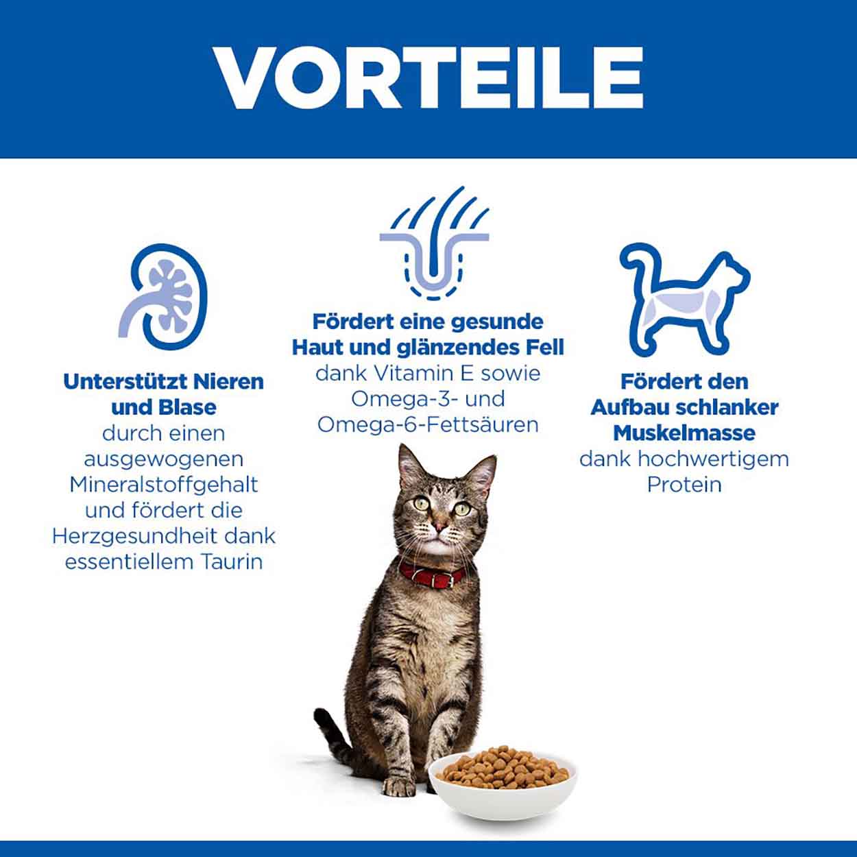 Hills Science Plan Katze Adult Huhn 10kg