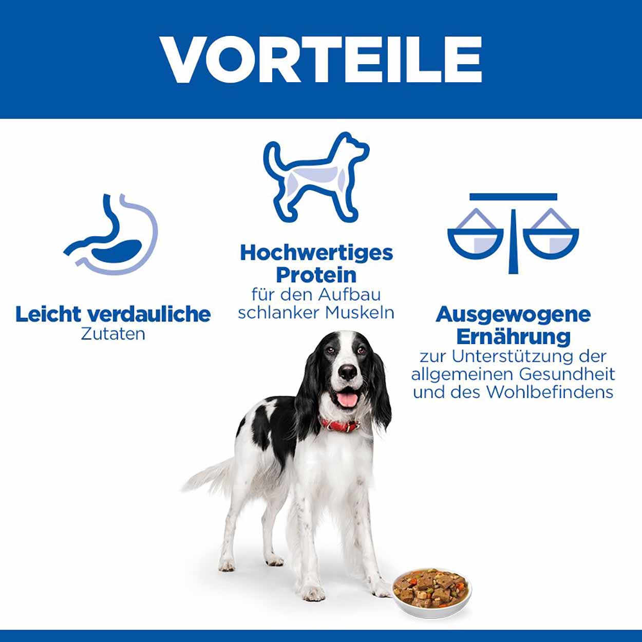 Hills Science Plan Hund Adult Ragout Huhn 12x363g