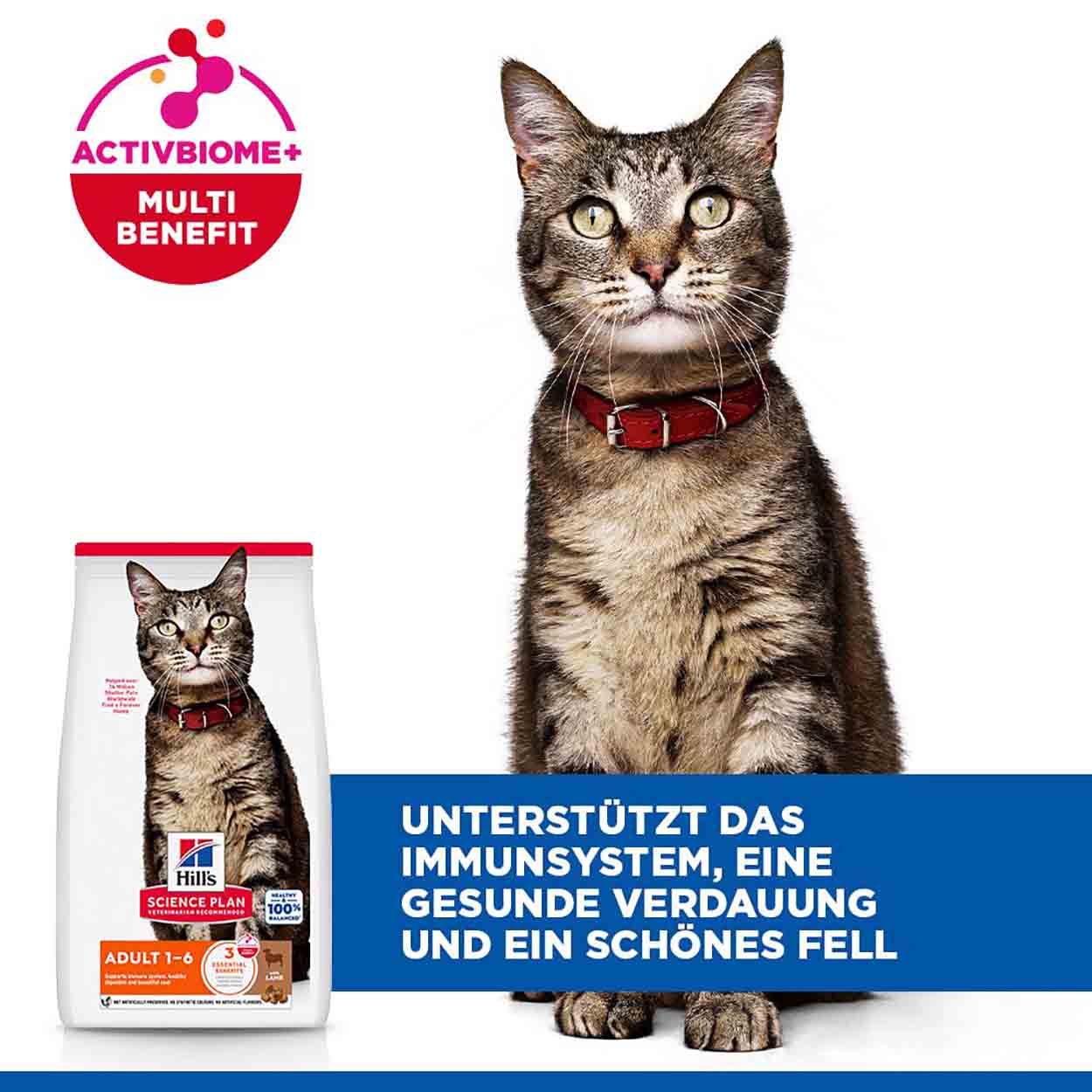 Hills Science Plan Katze Adult Lamm & Reis 3kg