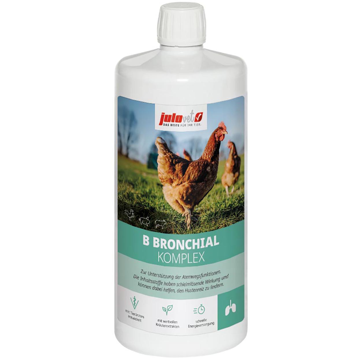 B-Bronchial-Komplex