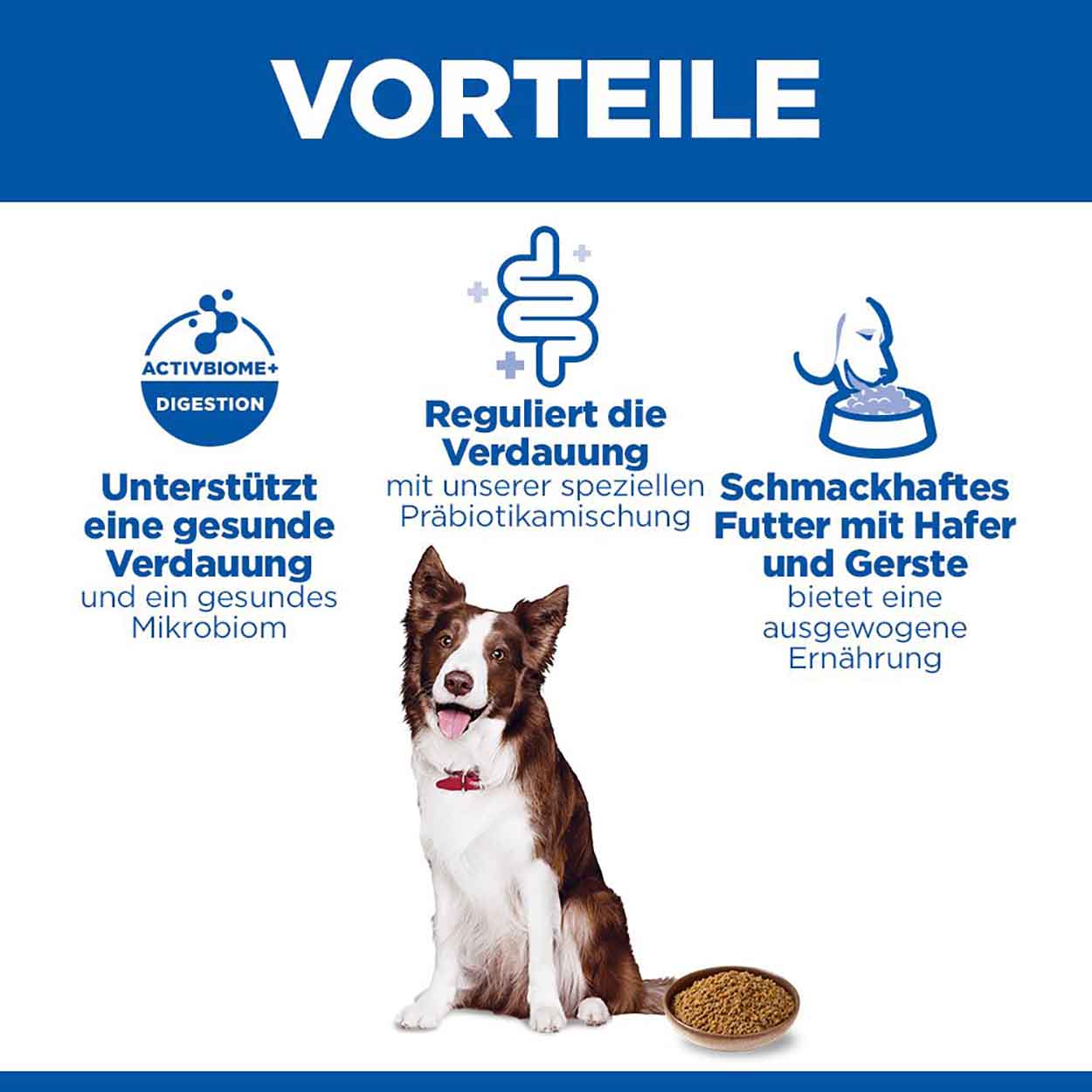 Hills Science Plan Hund Perfect Digestion Adult Huhn Gemüse 12x363g