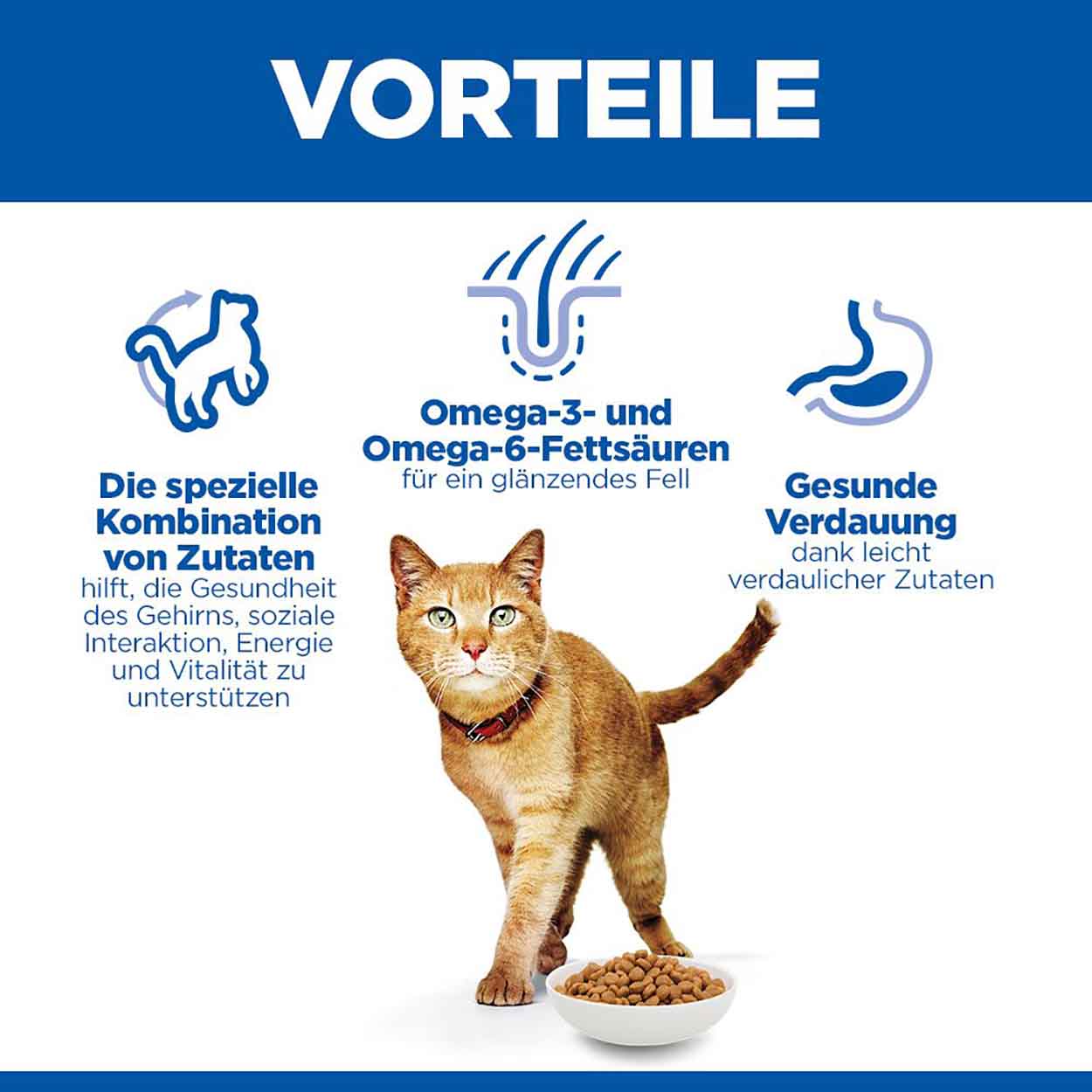 Hills Science Plan Katze Senior Vitality Mature Adult 7+ Huhn 7kg