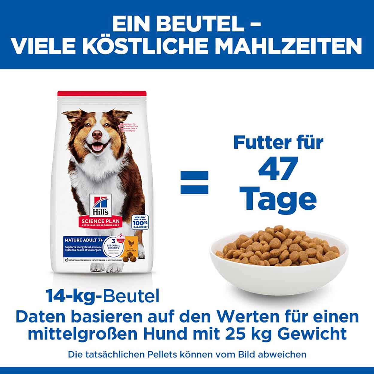 Hills Science Plan Hund Medium Mature Adult 7+ Huhn 6kg