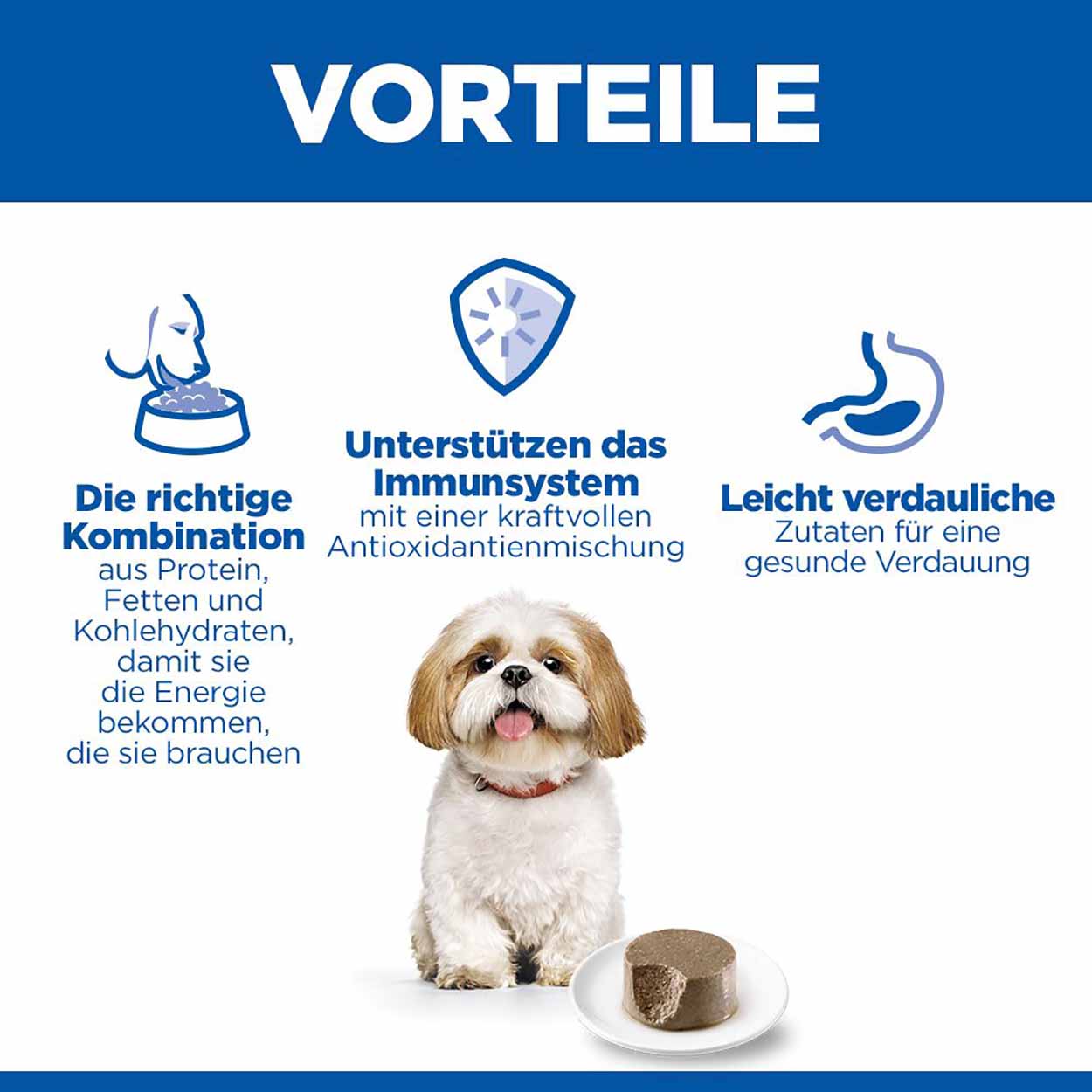 Hills Science Plan Hund Small & Mini Mature Adult Mousse Rind 12x200g