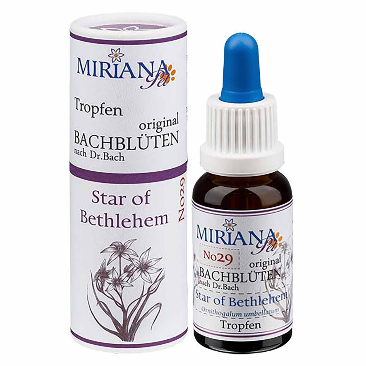 Bachblüten 29 Star of Bethlehem 20ml