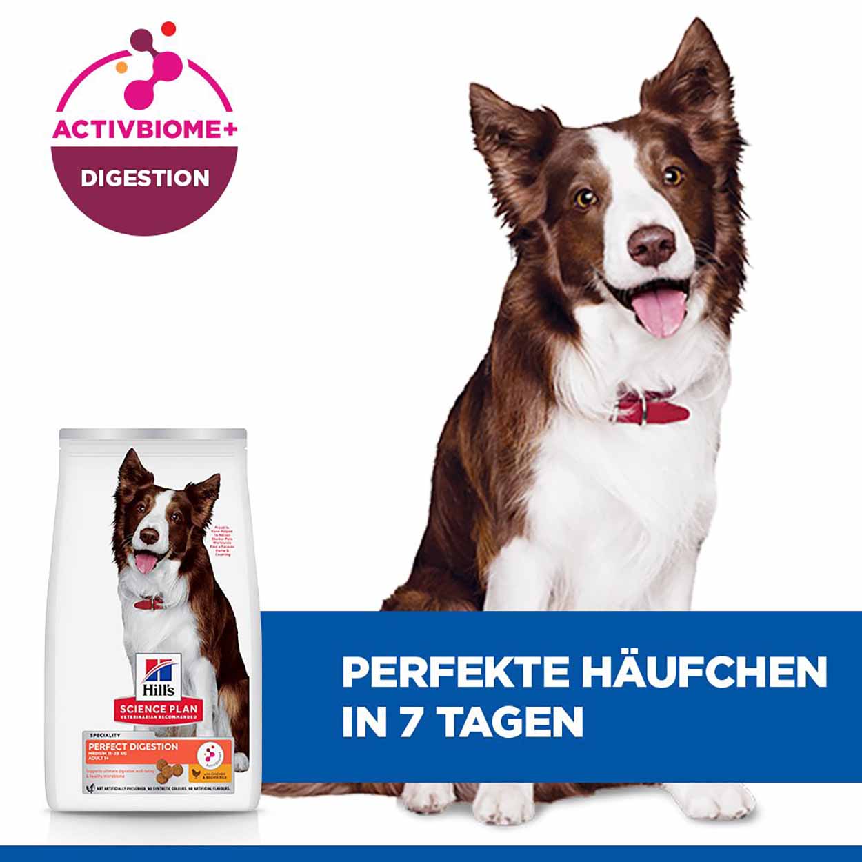 Hills Science Plan Hund Perfect Digestion Medium Adult Huhn 14kg
