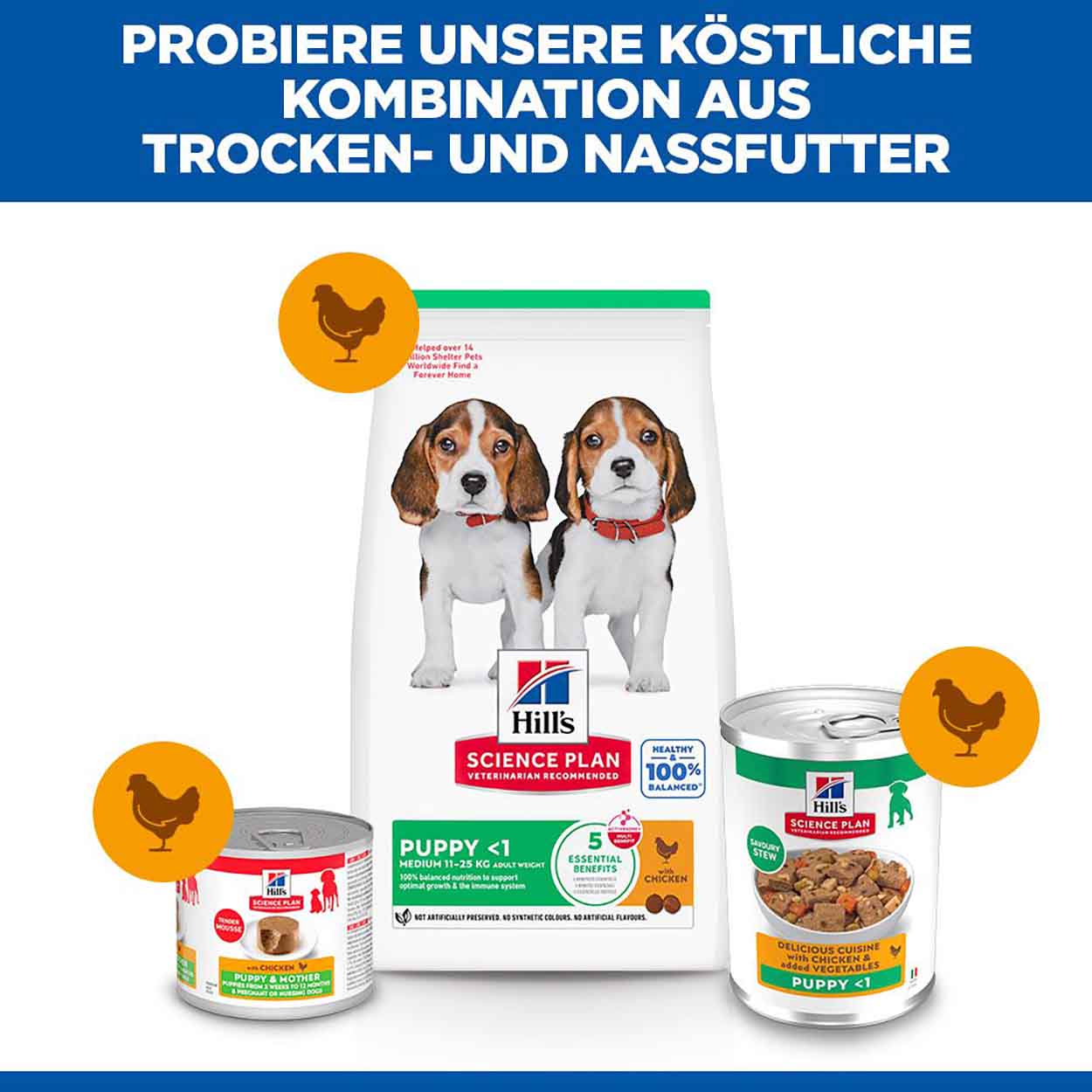 Hills Science Plan Hund Puppy Ragout Huhn 12x363g