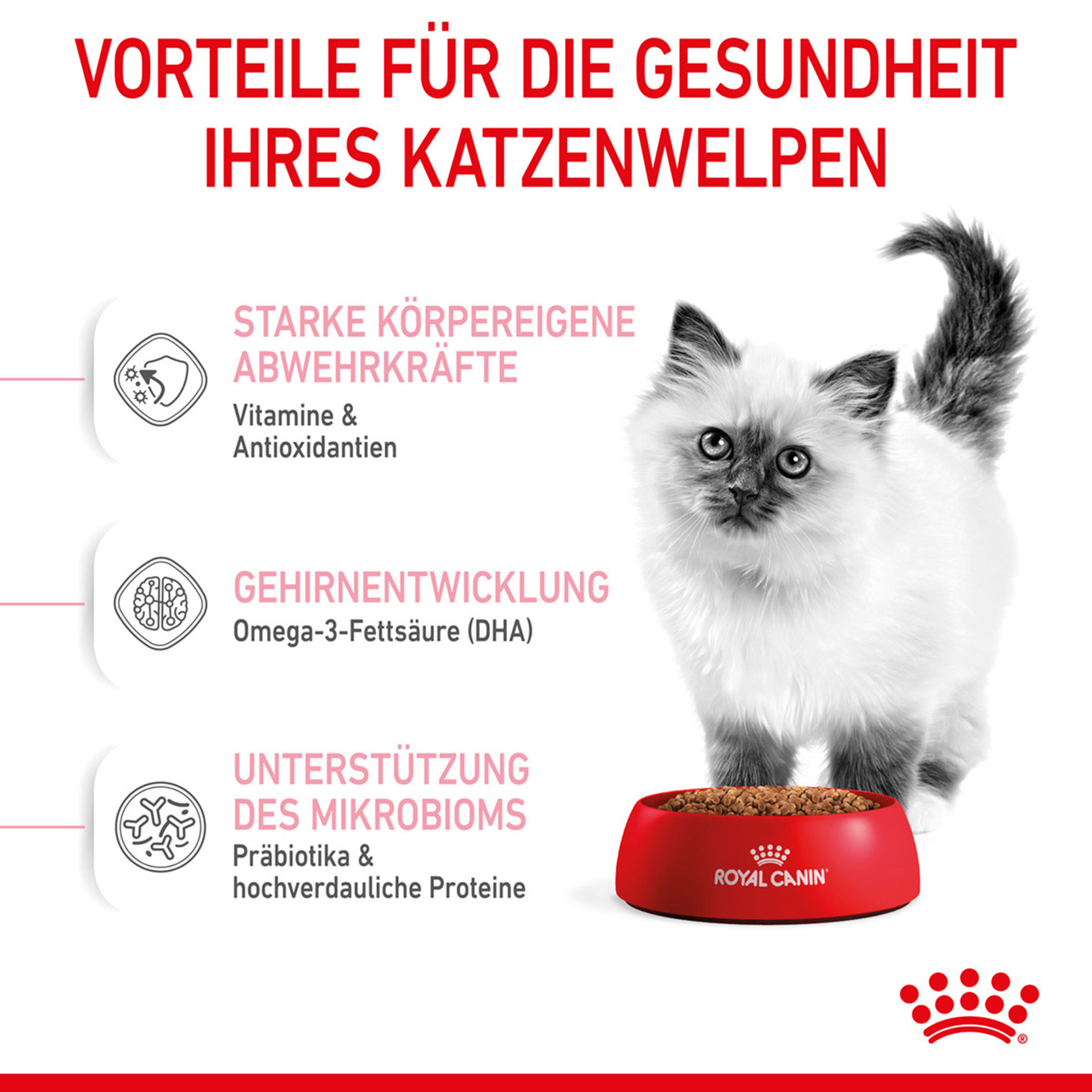 Royal Canin Katze Kitten 0,4 kg