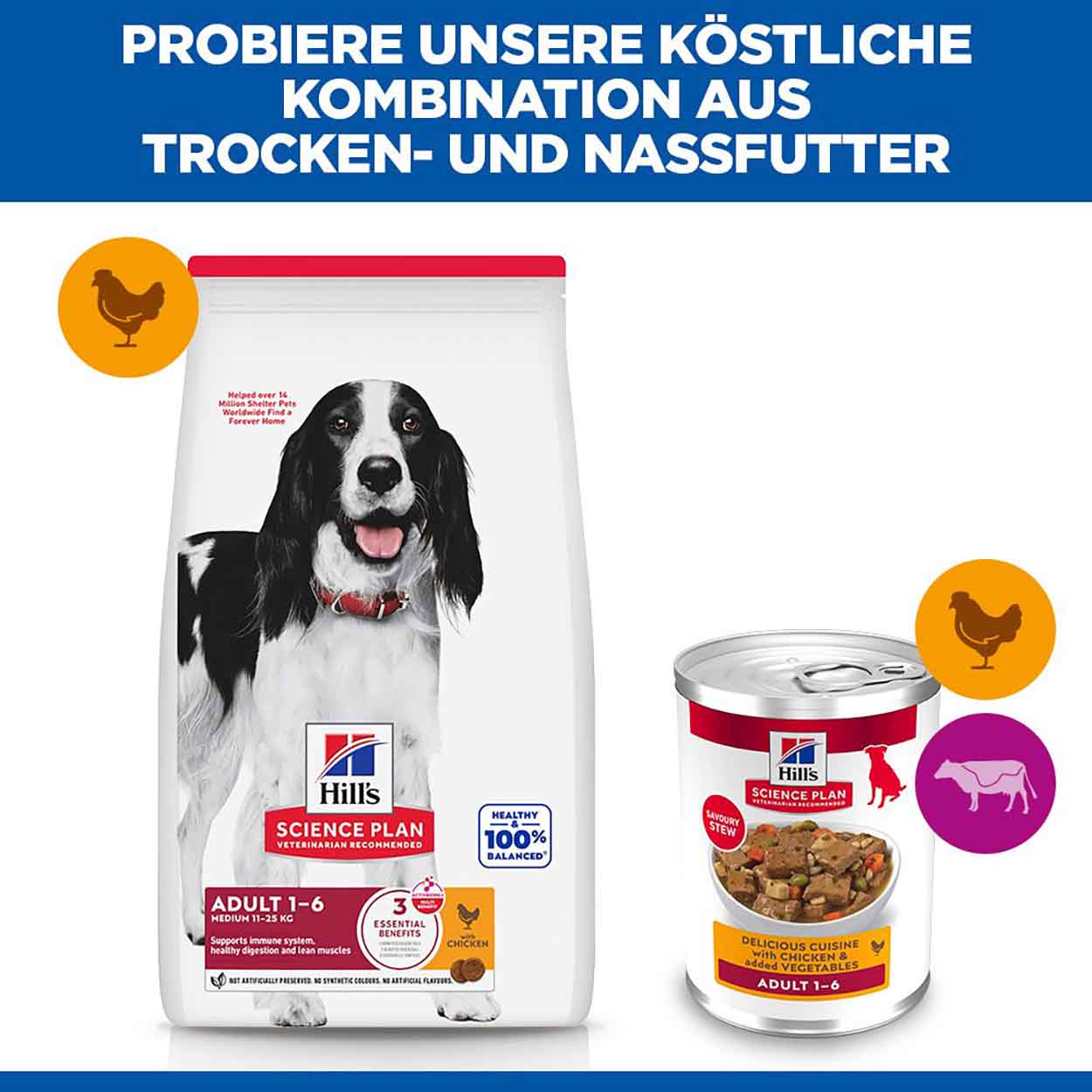 Hills Science Plan Hund Adult Ragout Huhn 12x363g