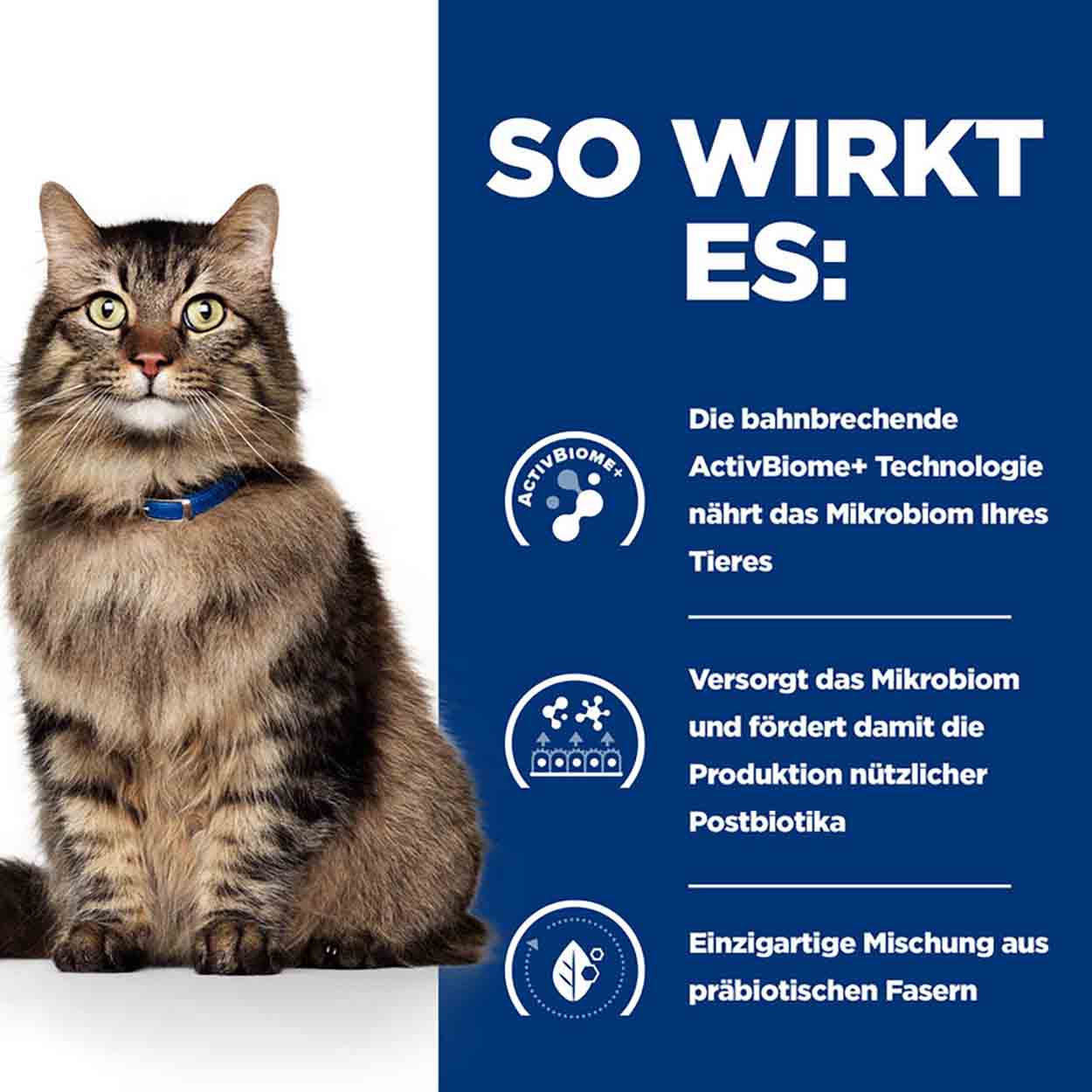Hills Feline Gastrointestinal Biome Stress Ragout Huhn 24x82g