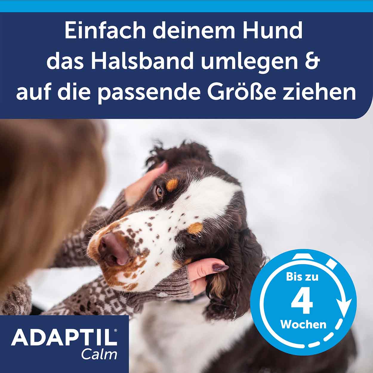 Adaptil Calm Halsband kleine Hunde 37cm