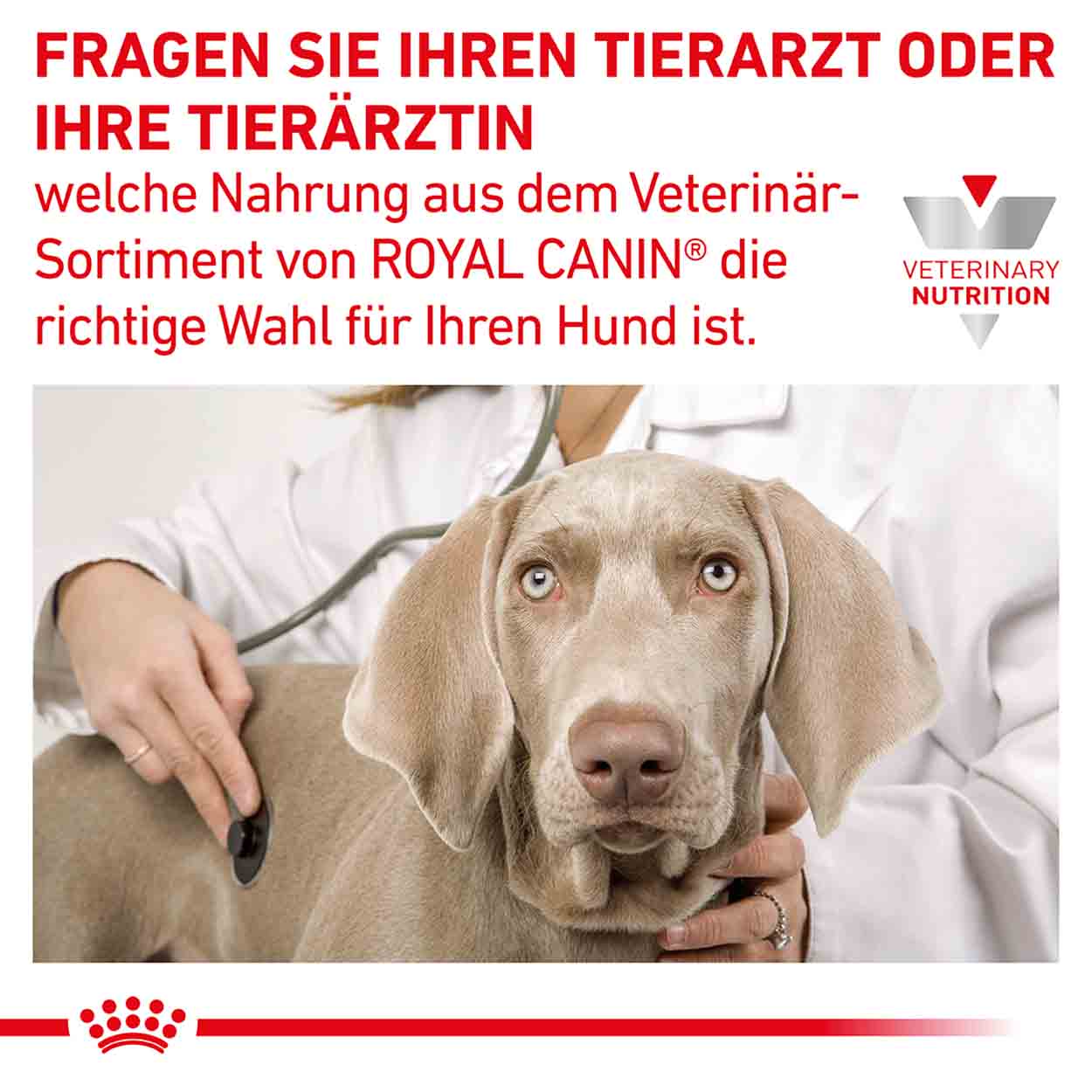 Royal Canin Hund GastroIntestinal 12x200g