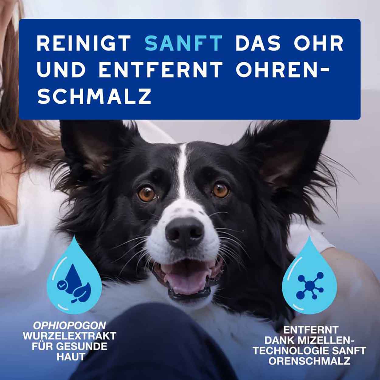 DOUXO SPA Ohrreiniger für Hunde 120ml 