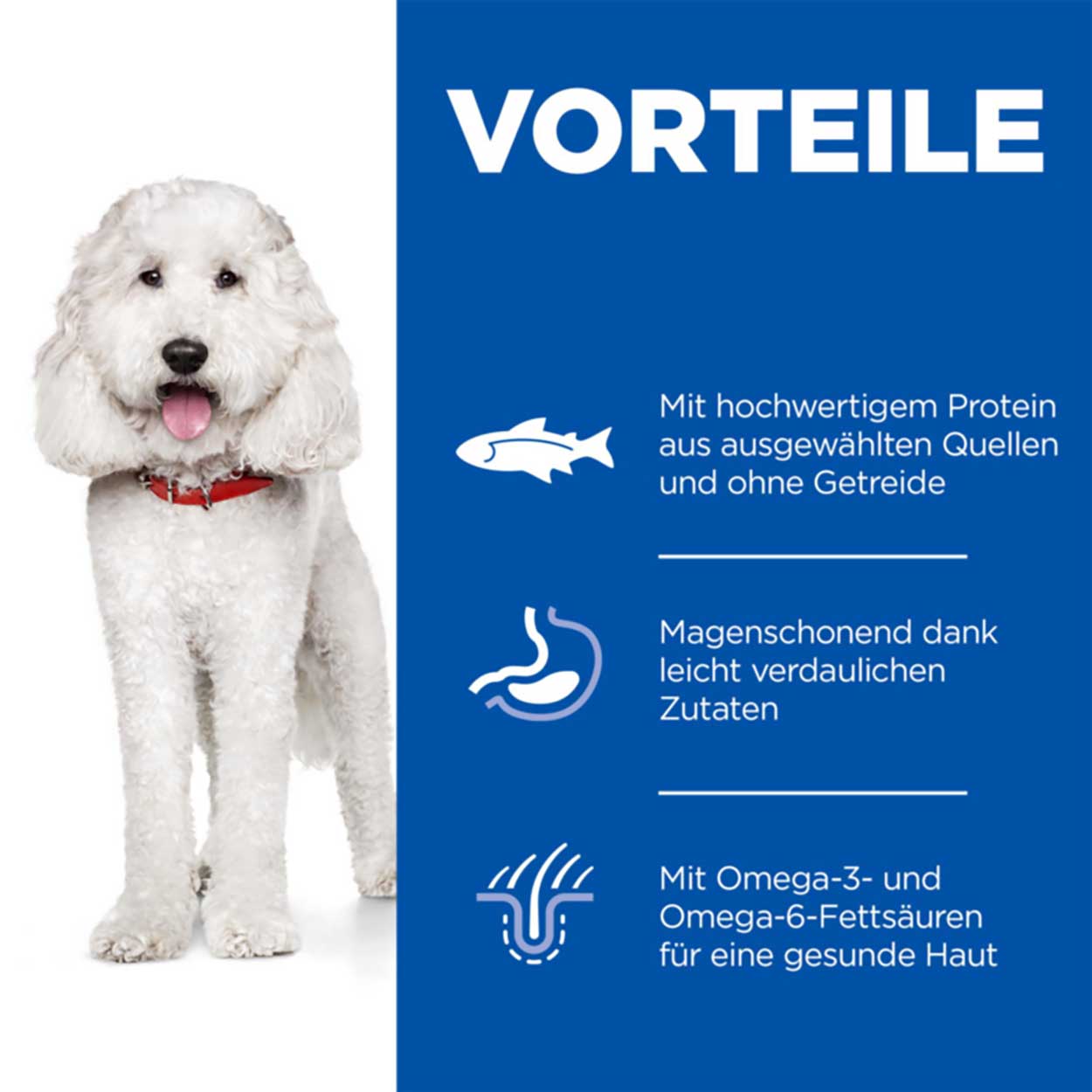 Hills Science Plan Hund Medium Adult Hypoallergenic Lachs 2,5kg