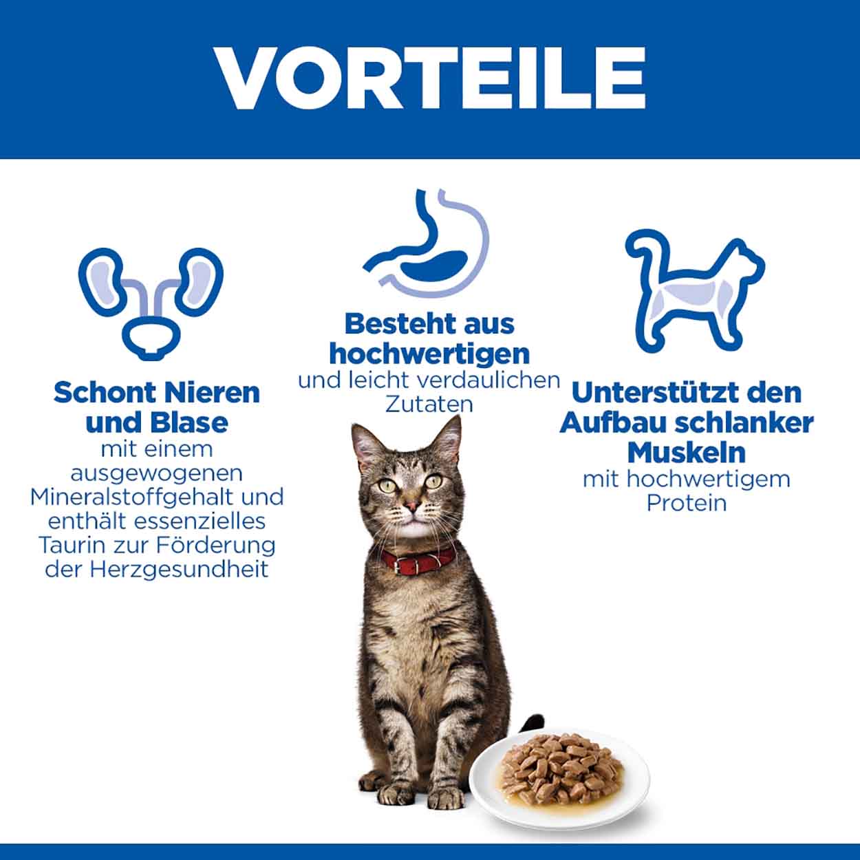 Hills Science Plan Katze Adult Seefisch 12x85g