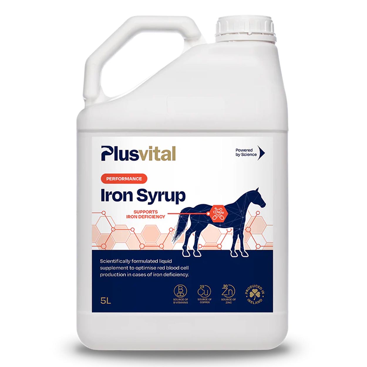 Plusvital Iron Syrup 5 Liter
