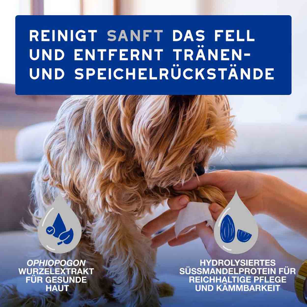 DOUXO SPA Feuchttücher 100Stk DOUXO SPA Feuchttücher 100Stk