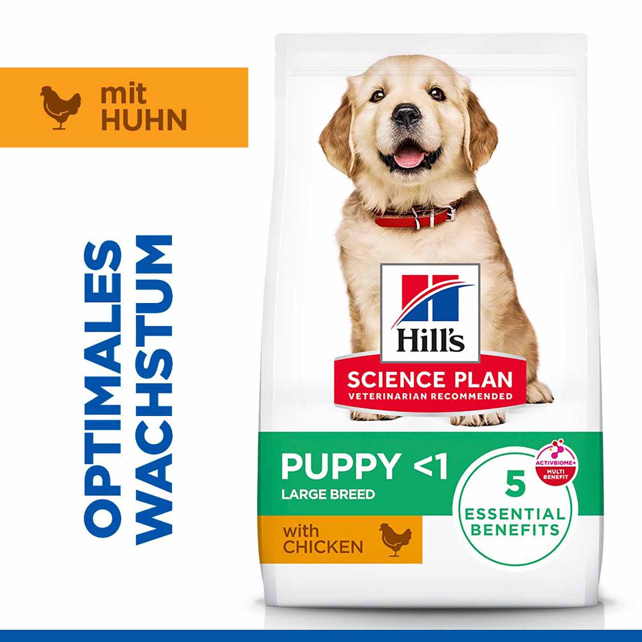 Hills Science Plan Hund Large Breed Puppy Huhn 6kg