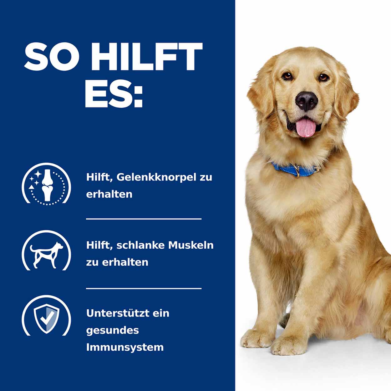 Hills Canine j/d Reduced Calorie Huhn Trockenfutter 12kg 