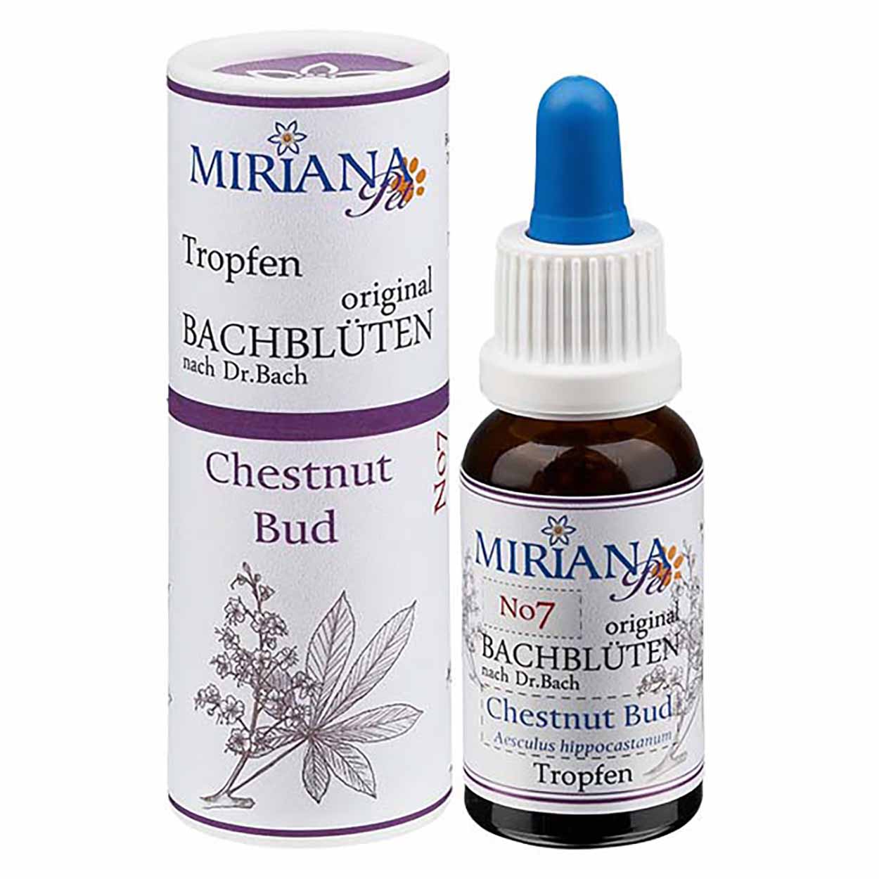 Bachblüten 7 Chestnut Bud 20ml
