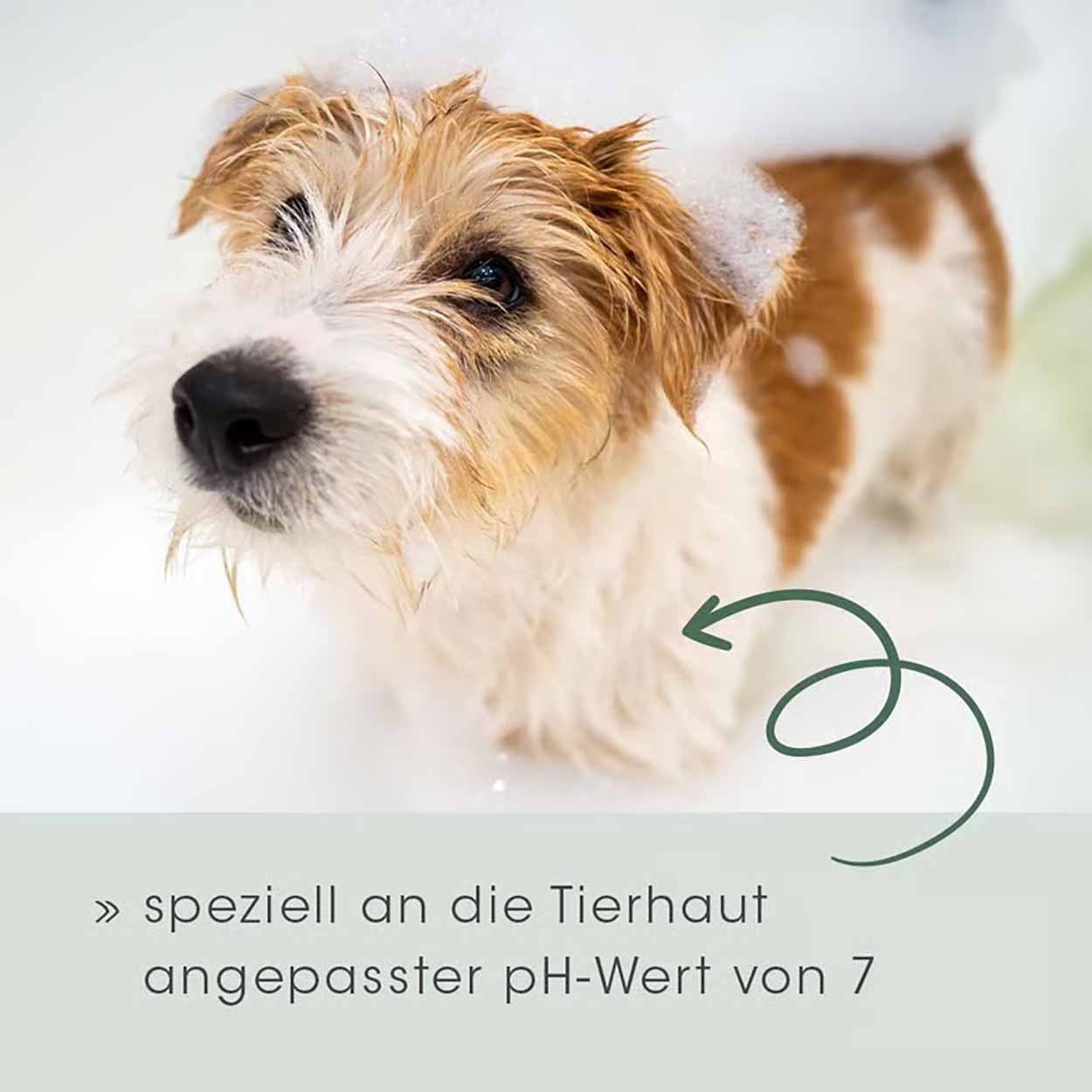 cdVet VeaVet Pflegeshampoo