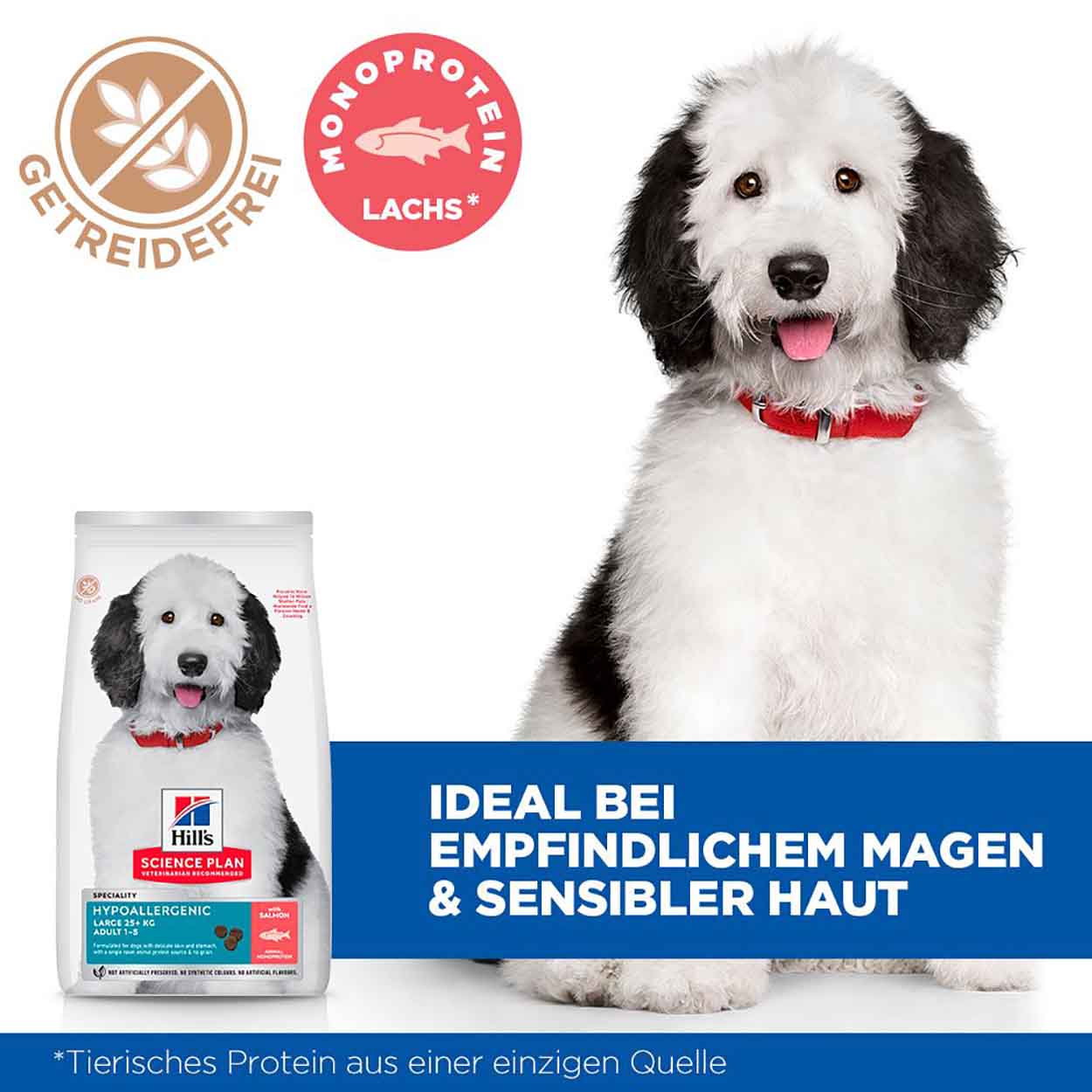 Hills Science Plan Hund Hypoallergenic Large Breed Adult Lachs 14kg