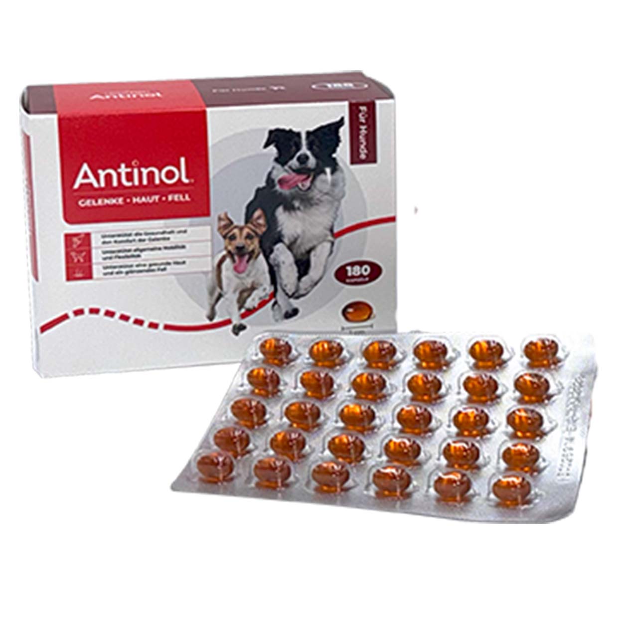 Antinol Hund 180 Kaps