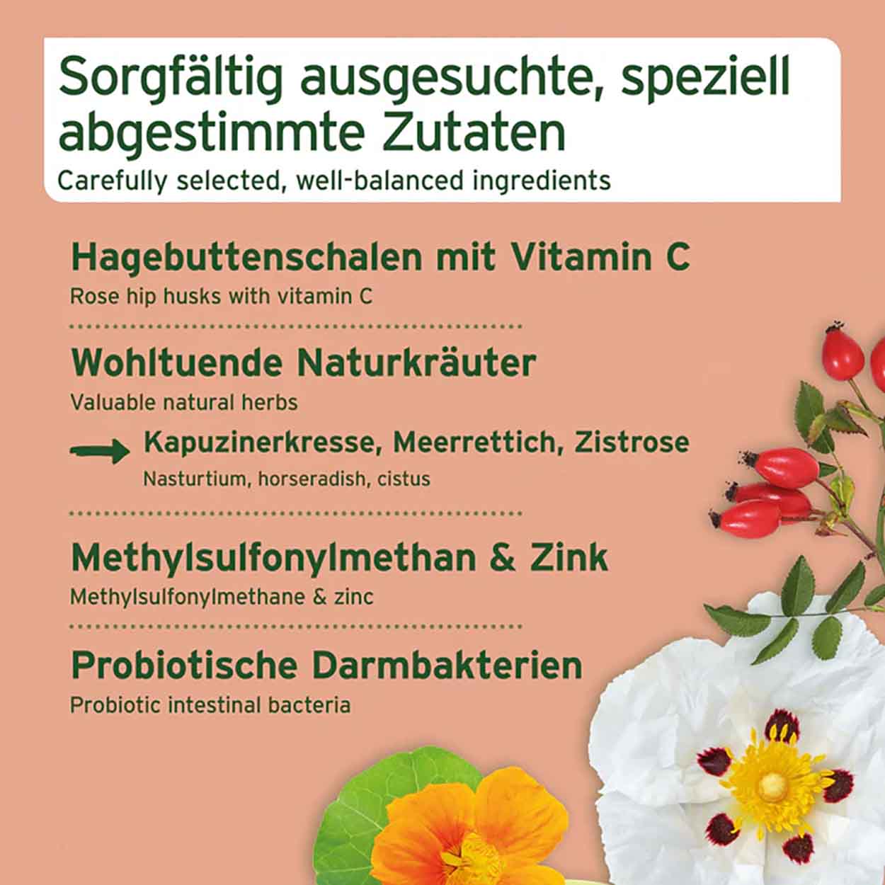 AniForte Immun-Boost Snack 300g