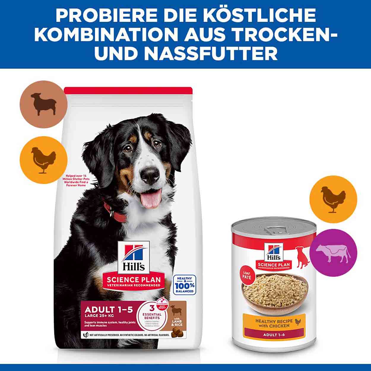Hills Science Plan Hund Large Breed Adult Lamm & Reis 14kg
