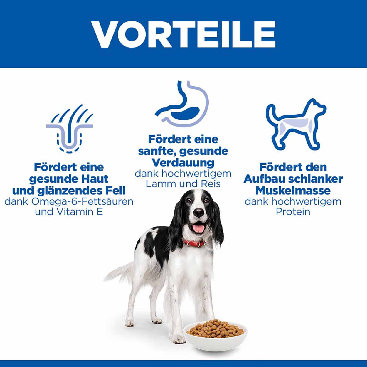 Hills Science Plan Hund Medium Adult Lamm & Reis 14kg Hills Science Plan Hund Medium Adult Lamm & Reis 14kg