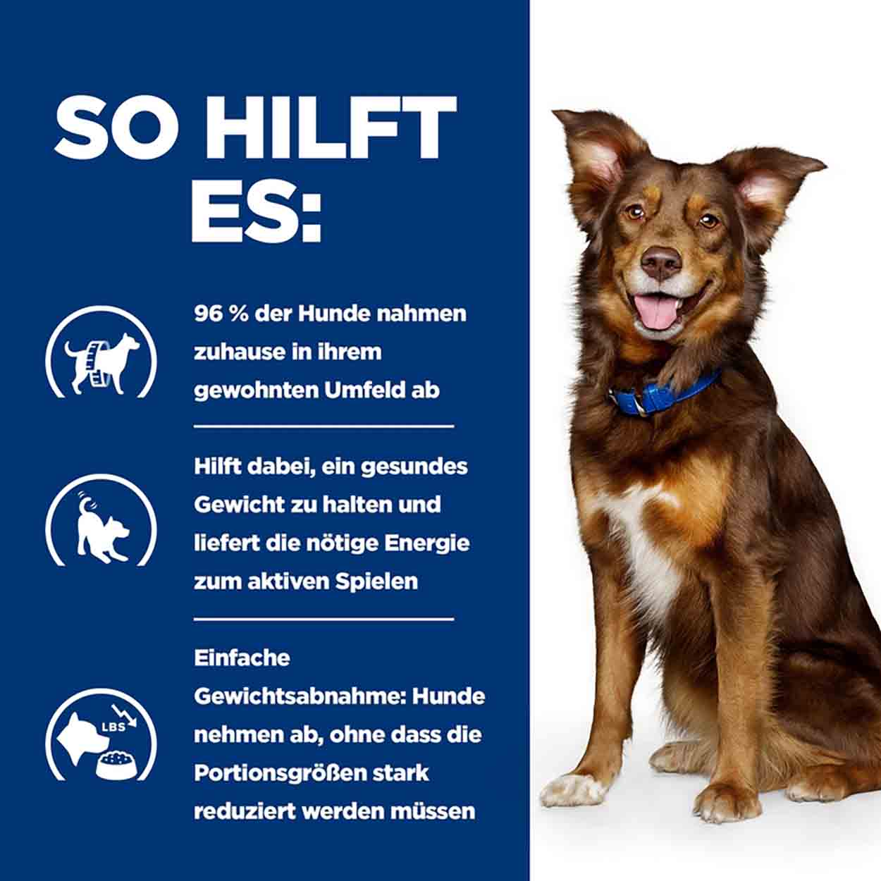 Hills Canine Metabolic Ragout Rind Gemüse 12x354g