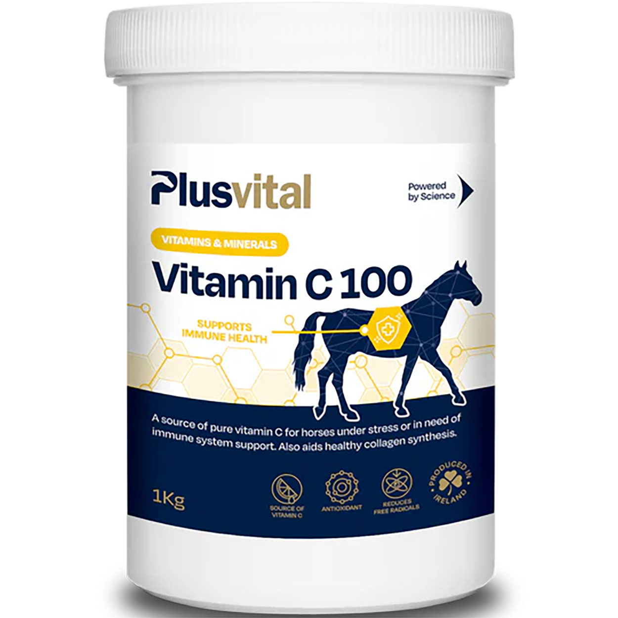 Plusvital Vitamin C 100 1kg