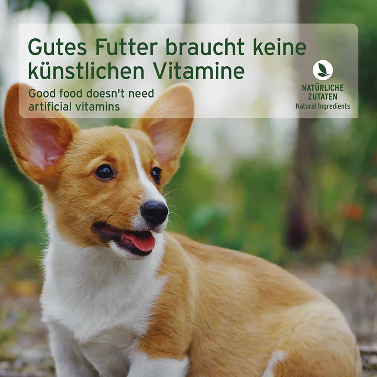 AniForte Nassfutter Junior Menue Rind 6x400g