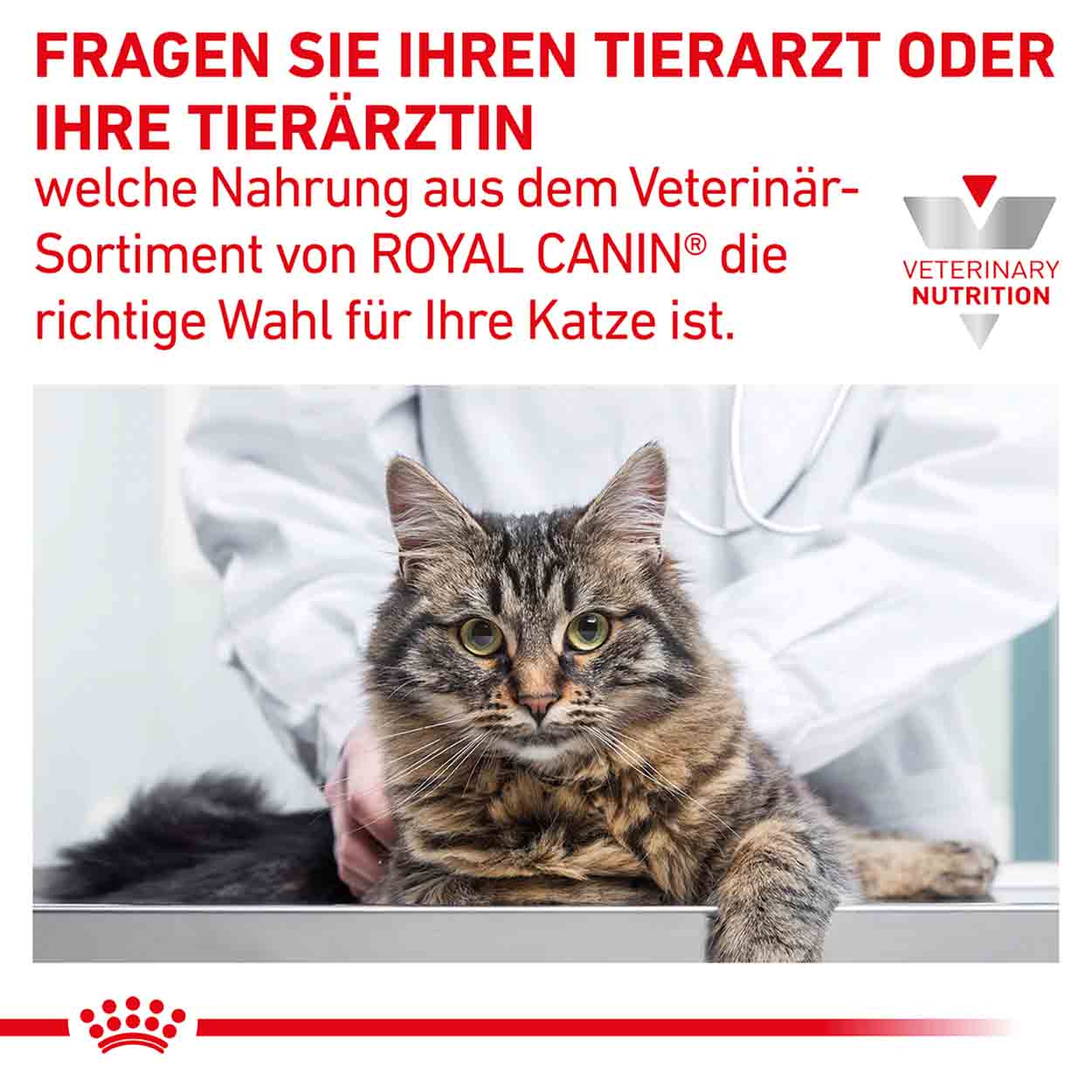 Royal Canin Katze GastroIntestinal mod calorie 12x85g